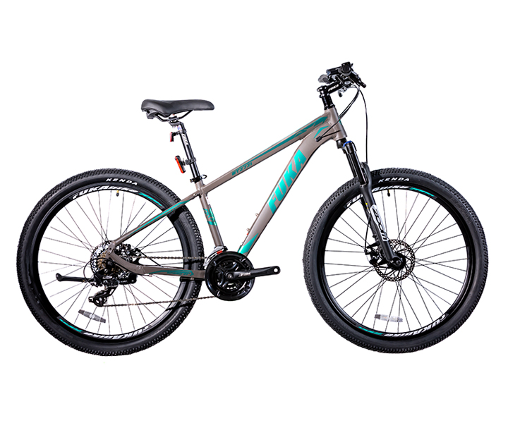 2025 - FUKA VITA 2721 Mountain Bike - Gray Matte - Shiny Green 27